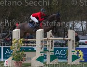 De Simone Teddy TosTour 2013- S5 7821 : Arezzo Equestrian Centre, De Simone Rossella, Teddy, Toscana Tour 2013, foto di Stefano Secchi ©